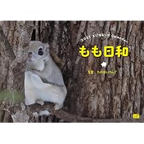 Amazon.co.jp: エゾモモンガ もも日和 : 髙橋 賢悟: 本